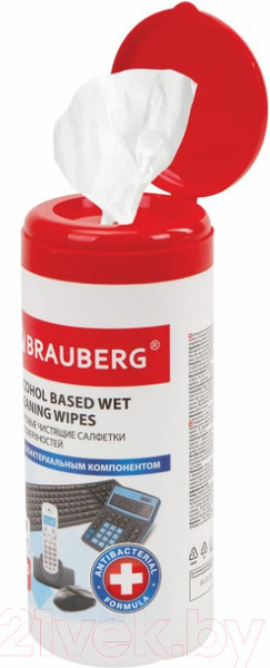 Изображение товара Салфетки для ухода за техникой Brauberg 513536 (100шт)
