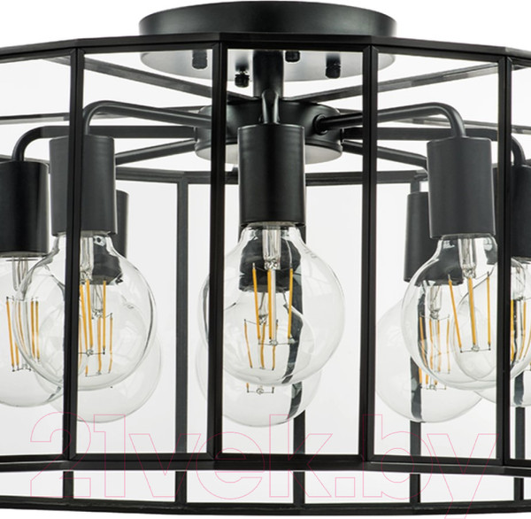 Изображение товара Люстра Lightstar Genni 798287 (MX7961-8A)