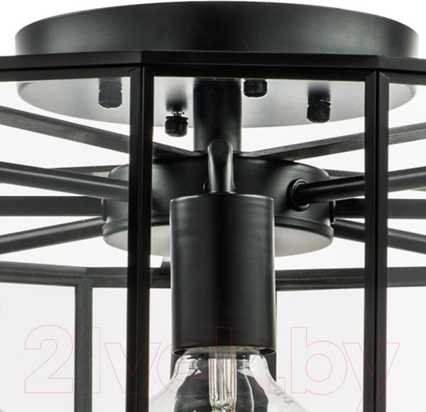 Изображение товара Люстра Lightstar Genni 798287 (MX7961-8A)