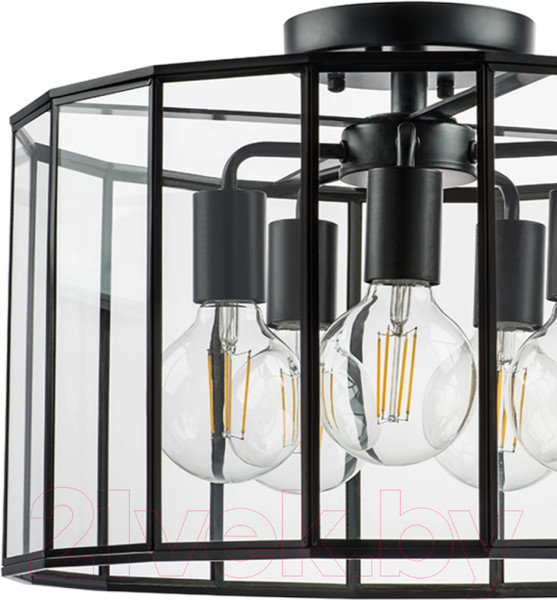 Изображение товара Люстра Lightstar Genni 798257 (MX7961-5A)