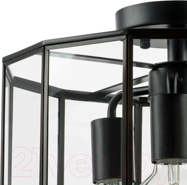 Изображение товара Люстра Lightstar Genni 798237 (MX7961-3A)