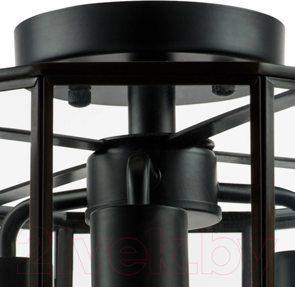 Изображение товара Люстра Lightstar Genni 798237 (MX7961-3A)