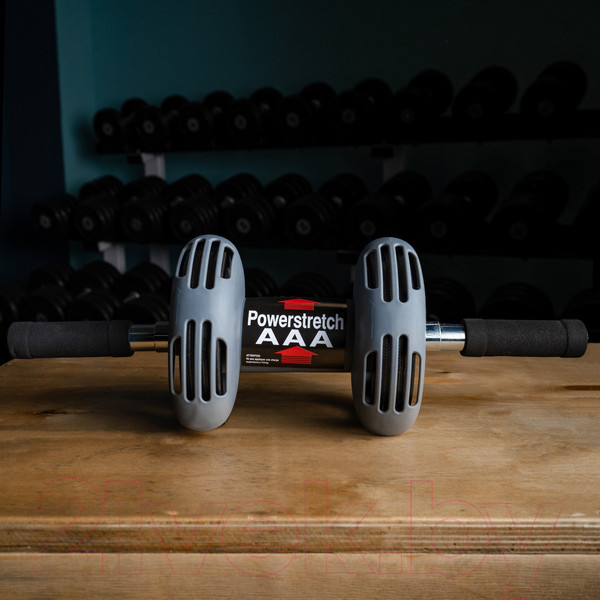 Изображение товара Ролик для пресса Onlytop 537836 (2 колеса, с ковриком)