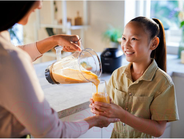 Изображение товара Блендер стационарный Philips HR2291/41