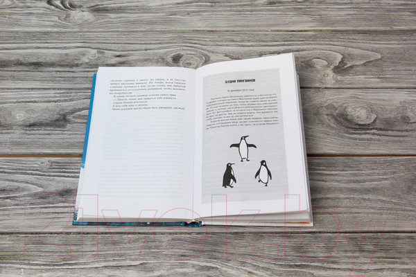 Изображение товара Книга АСТ Как пингвины спасли Веронику (Прайор Х.)