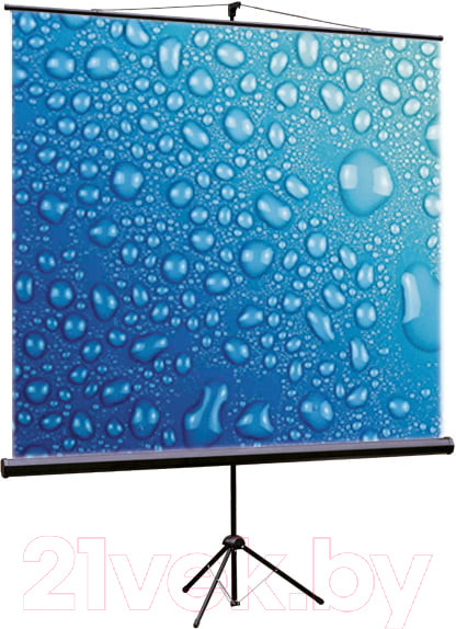 Изображение товара Проекционный экран ViewScreen Clamp TCL-1104