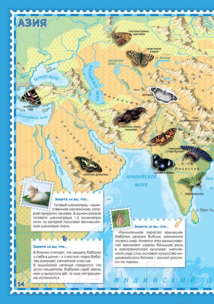 Изображение товара Атлас Белкартография Бабочки мира (с наклейками)