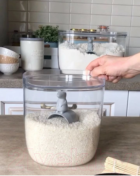 Изображение товара Набор емкостей для хранения Qualy Lucky Mouse / QL10348-CL-GY