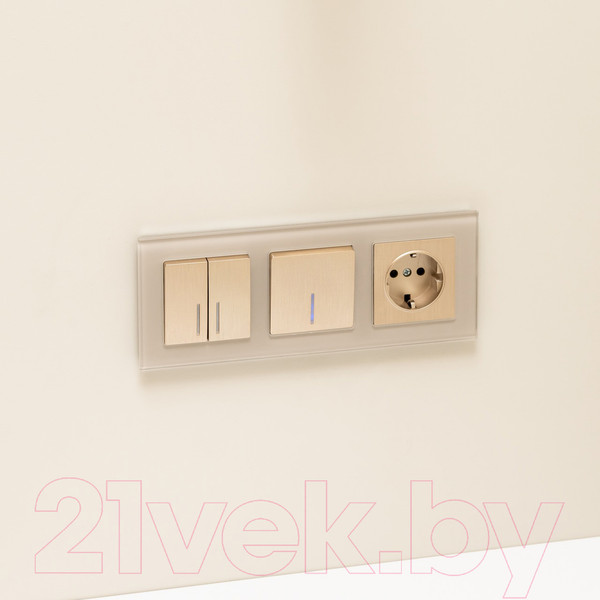 Изображение товара Выключатель Werkel W1112110 (шампань рифленый)