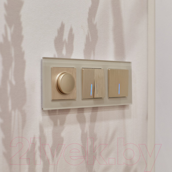 Изображение товара Выключатель Werkel W1112110 (шампань рифленый)