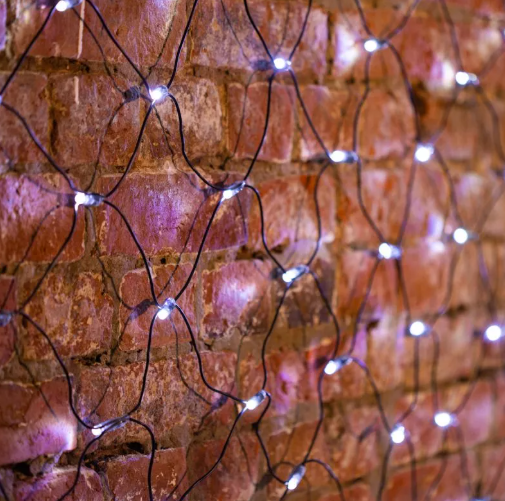 Изображение товара Светодиодная сеть Neon-Night 215-031 (2.5x2.5м, белый)