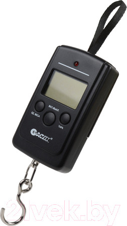 Изображение товара Безмен электронный Garin Точный Вес DS2 BL1 / БЛ17089