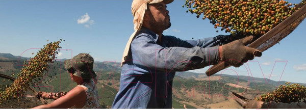 Изображение товара Кофе в зернах Lavazza La Reserva de Tierra Colombia Espresso 100% Arabica (1кг)