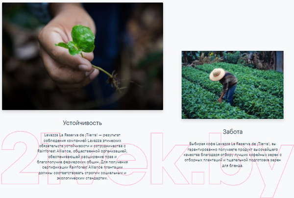 Изображение товара Кофе в зернах Lavazza La Reserva de Tierra Selection Espresso 100% Arabica (1кг)