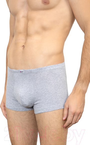 Изображение товара Трусы мужские Mark Formelle 411122 (р-р 102-112, серый меланж 2702)