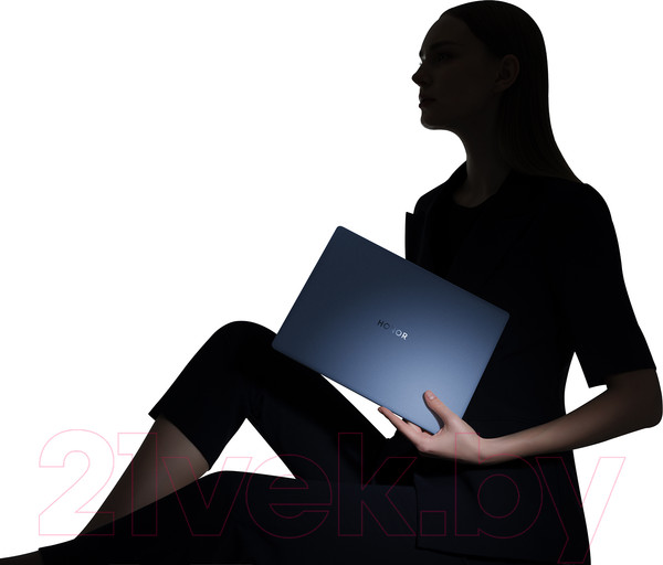 Изображение товара Ноутбук Honor MagicBook View 14 (HGE-W5651T)