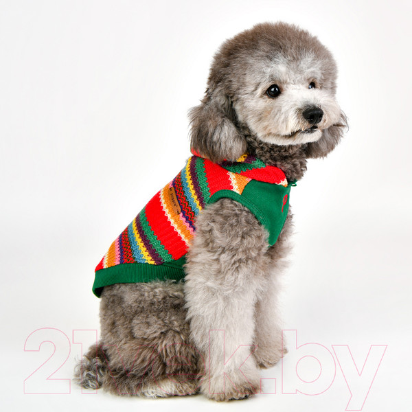 Изображение товара Свитер для животных Puppia Lennon / PAVD-TS1926-RD-L (красный/зеленый)