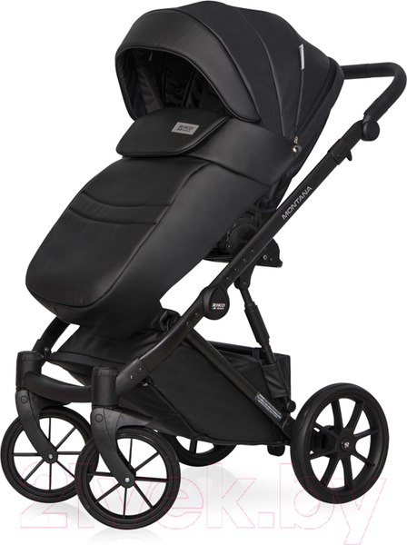 Изображение товара Детская универсальная коляска Riko Montana Ecco 2 в 1 (12/черный)
