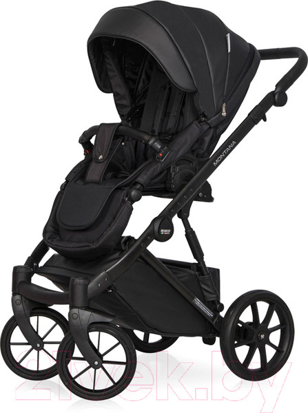 Изображение товара Детская универсальная коляска Riko Montana Ecco 3 в 1 (12/черный)