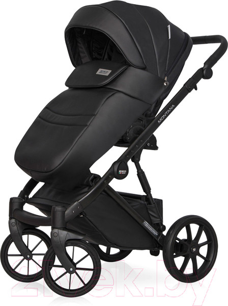 Изображение товара Детская универсальная коляска Riko Montana Ecco 3 в 1 (12/черный)