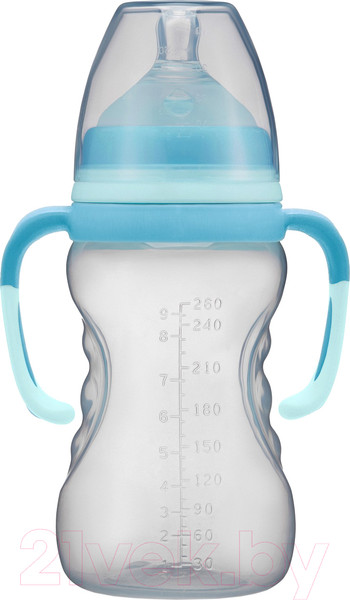 Изображение товара Бутылочка для кормления Roxy-Kids Быстрый поток 6+ / RBTL-003 (260мл)