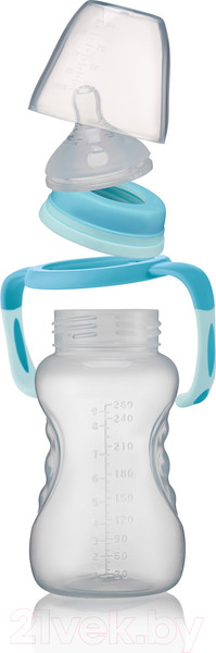 Изображение товара Бутылочка для кормления Roxy-Kids Быстрый поток 6+ / RBTL-003 (260мл)