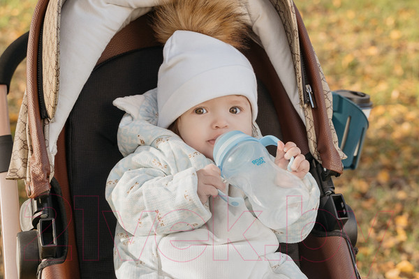 Изображение товара Бутылочка для кормления Roxy-Kids Быстрый поток 6+ / RBTL-003 (260мл)