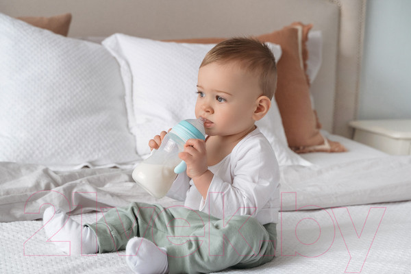 Изображение товара Бутылочка для кормления Roxy-Kids Быстрый поток 6+ / RBTL-003 (260мл)