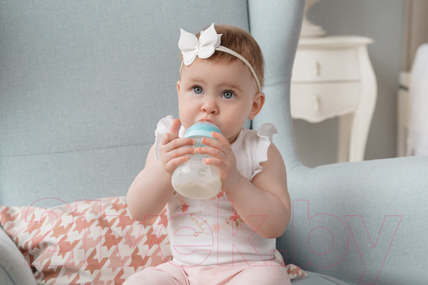 Изображение товара Набор сосок Roxy-Kids Для бутылочек средний поток 3мес+ / RBTL-002-M  (2шт)