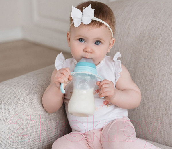 Изображение товара Набор сосок Roxy-Kids Для бутылочек быстрый поток 6мес+ / RBTL-003-L (2шт)