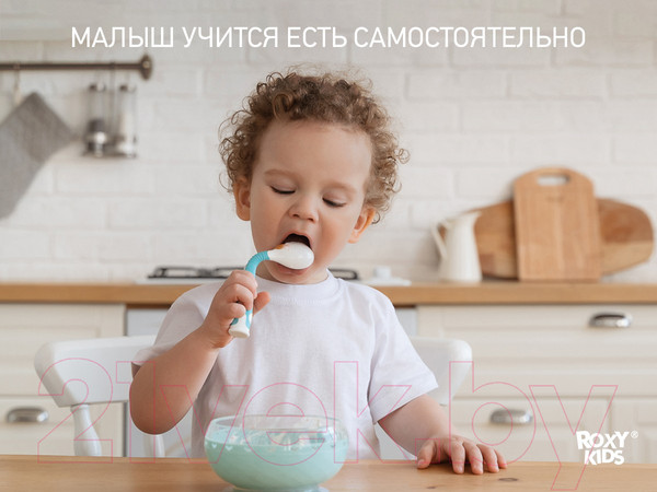 Изображение товара Набор столовых приборов для кормления Roxy-Kids Ложка и вилка / RFD-002-B (голубой)
