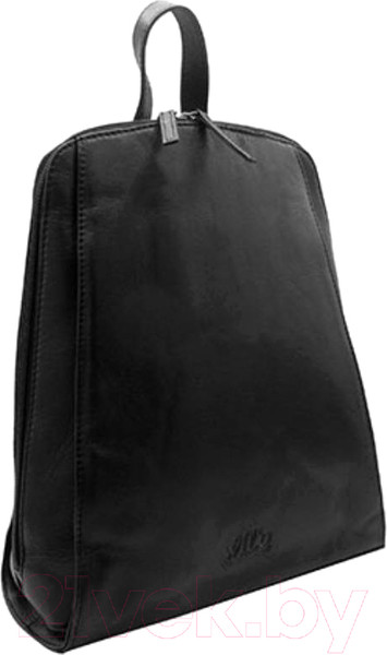 Изображение товара Сумка Cedar Always Wild / 1751-NDM (черный)