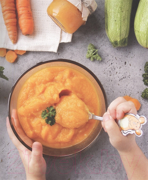 Изображение товара Книга АСТ Детское питание. Прикорм от 6 месяцев (Золотова К.И.)