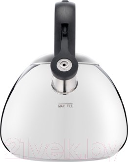 Изображение товара Чайник со свистком Tefal Kettle ss induction / K2481574