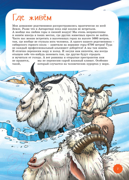 Изображение товара Энциклопедия Альпина Я козел / 9785961459258 (Кузнецов Б.)