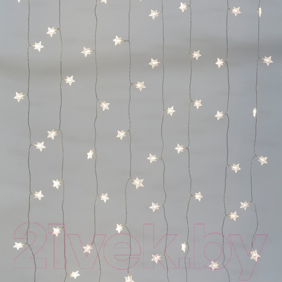 Изображение товара Светодиодная гирлянда ЭРА ENIZ-64W / Б0051876