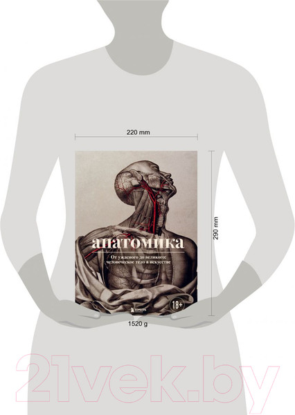 Изображение товара Книга Эксмо Анатомика. От ужасного до великого (Эбенштейн Д.)