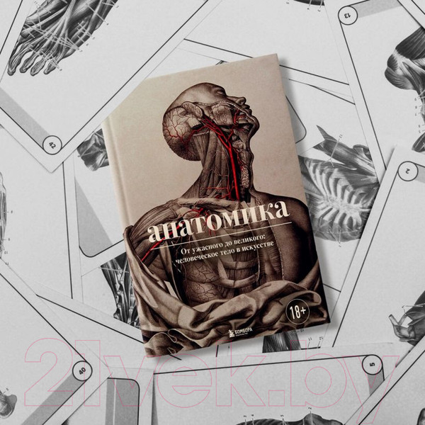 Изображение товара Книга Эксмо Анатомика. От ужасного до великого (Эбенштейн Д.)