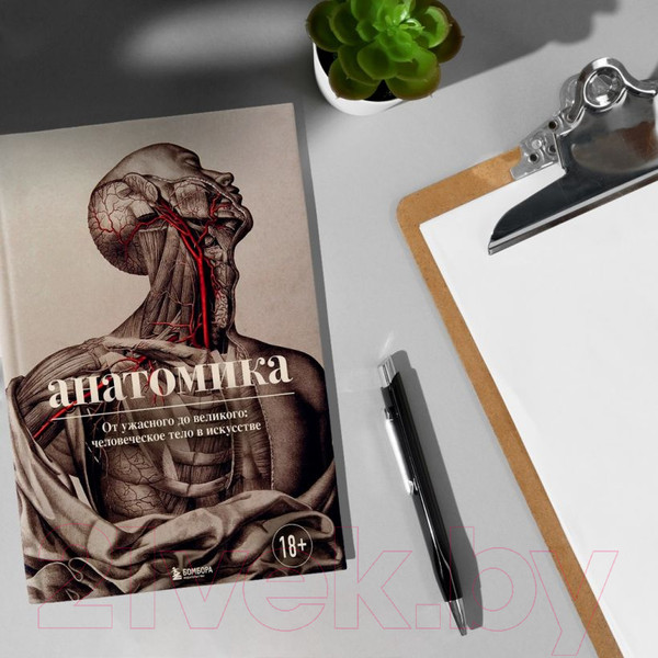 Изображение товара Книга Эксмо Анатомика. От ужасного до великого (Эбенштейн Д.)