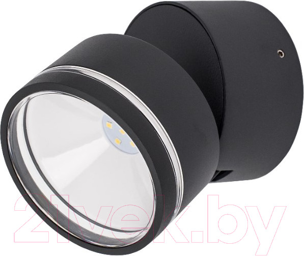 Изображение товара Светильник уличный Citilux CLU0008R