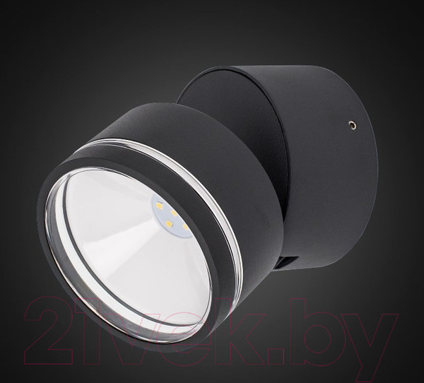 Изображение товара Светильник уличный Citilux CLU0008R