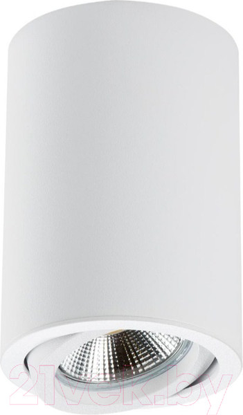 Изображение товара Потолочный светильник Lightstar Rullo 214406