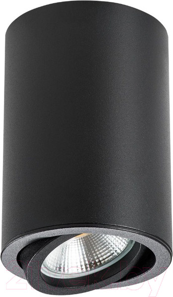 Изображение товара Потолочный светильник Lightstar Rullo 214407