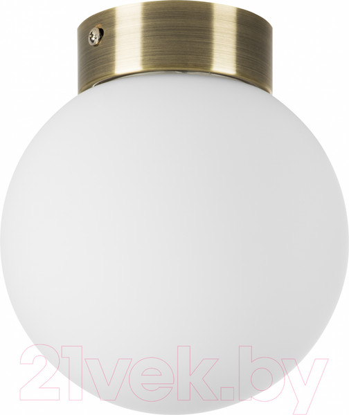 Изображение товара Потолочный светильник Lightstar Globo 812011 (MX8131-1B-S)