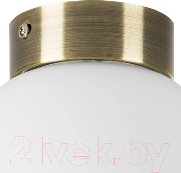 Изображение товара Потолочный светильник Lightstar Globo 812011 (MX8131-1B-S)