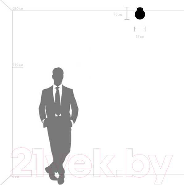 Изображение товара Потолочный светильник Lightstar Globo 812011 (MX8131-1B-S)