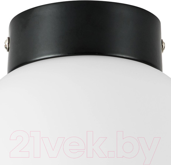 Изображение товара Потолочный светильник Lightstar Globo 812017 (MX8131-1B-S)