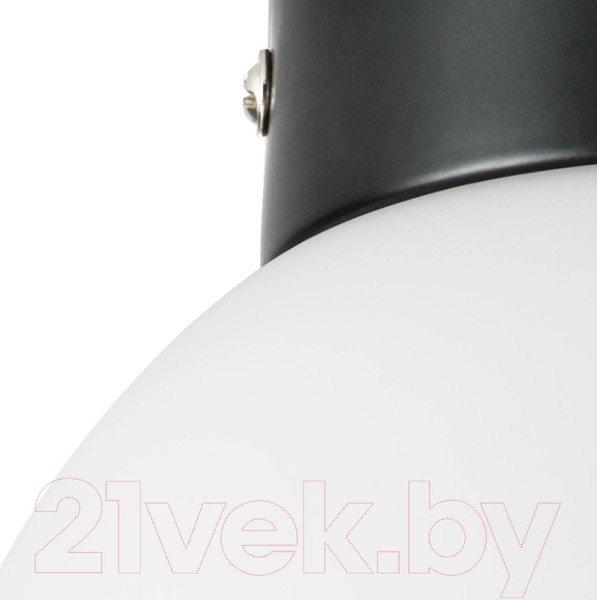 Изображение товара Потолочный светильник Lightstar Globo 812017 (MX8131-1B-S)