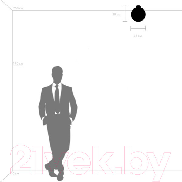 Изображение товара Потолочный светильник Lightstar Globo 812031 (MX8131-1B-L)