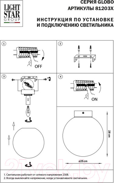 Изображение товара Потолочный светильник Lightstar Globo 812031 (MX8131-1B-L)